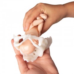 Miniaturowy model miednicy z lalką porodową - Image no.: 5