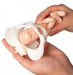 Miniaturowy model miednicy z lalką porodową - Image no.: 6