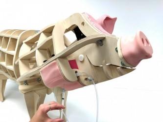 Model świni do nauki pobierania krwi z szyi - Image no.: 3