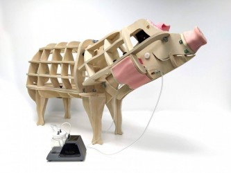Model świni do nauki pobierania krwi z szyi - Image no.: 1