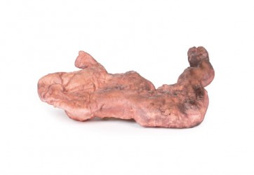 Model anatomiczny żołądka - Image no.: 2