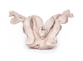Model anatomiczny macicy dwurożnej jednoszyjkowej - Image no.: 1