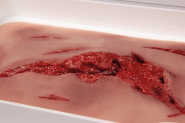 Model rany - duża rana szarpana (z funkcją krwawienia) - Image no.: 1