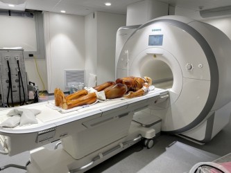 Fantom radiologiczny osoby dorosłej (z mięśniami) do RTG/CT i MRI - Image no.: 3