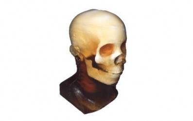 Fantom głowy osoby dorosłej do CT/RTG i MRI (Trening V2) - Image no.: 1
