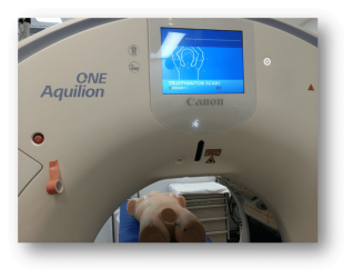 Fantom torsu do USG, CT/RTG i MRI (zaawansowane badanie) - Image no.: 5