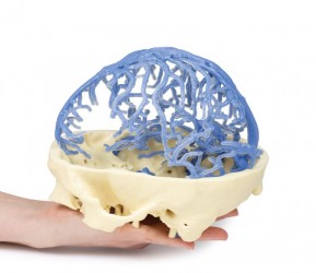 Model anatomiczny krążenia żylnego czaszki - Image no.: 6