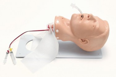 Trenażer Deluxe do intubacji dróg oddechowych - Image no.: 1