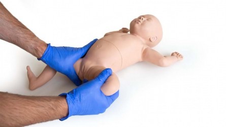 Trenażer do nauki badania stawów biodrowych u niemowląt - Image no.: 3