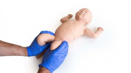 Trenażer do nauki badania stawów biodrowych u niemowląt - Image no.: 4
