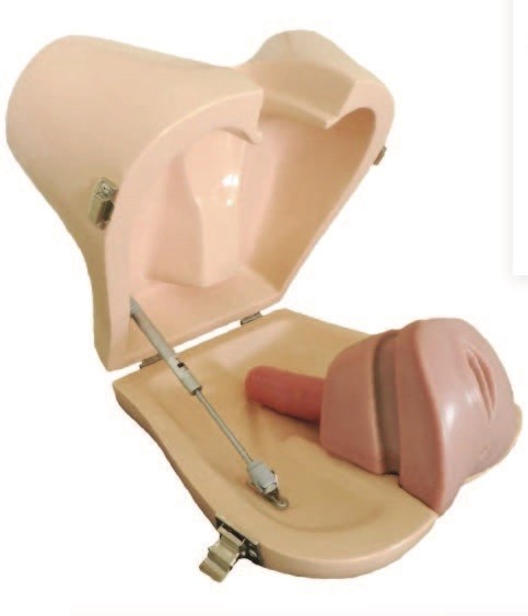 Wielofunkcyjny symulator dla proktologii - Image no.: 1