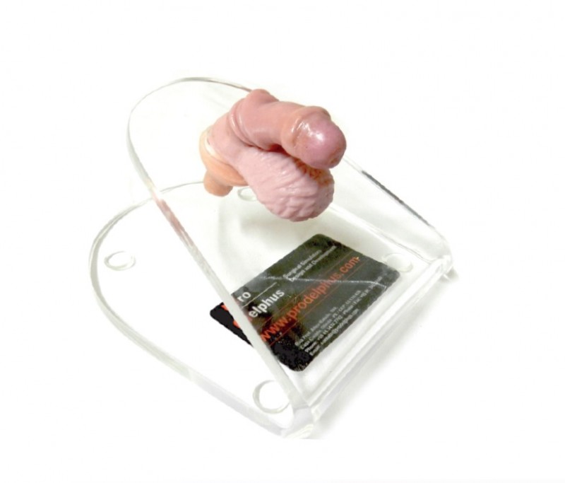 Symulator do treningu chirurgii wad cewki moczowej - Image no.: 1